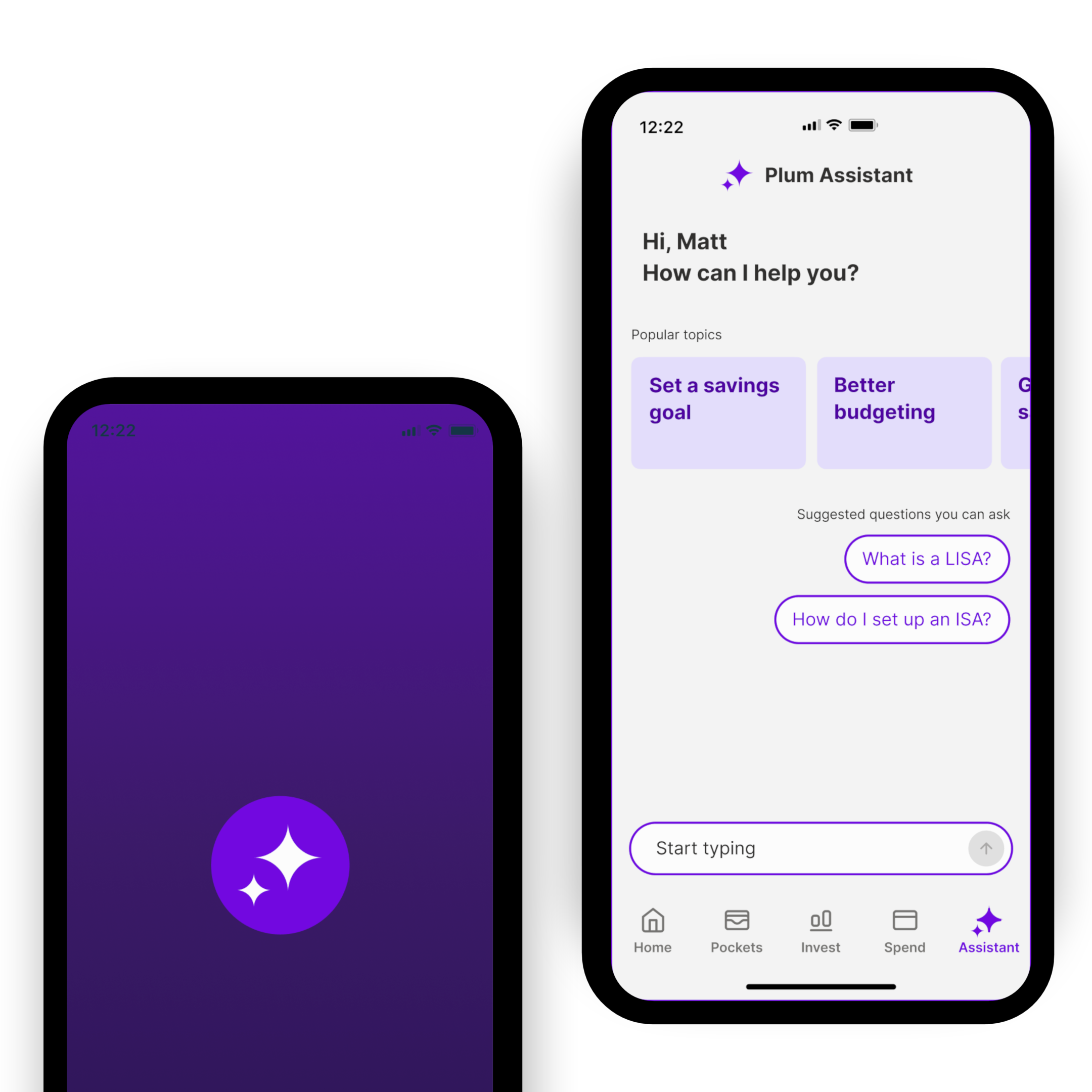 Plum AI assistant — conversational financial guidance interface